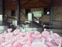 Organic rose oil distillery