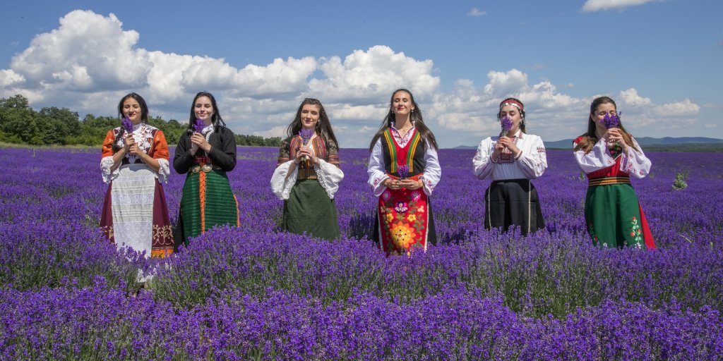 Bulgarian Lavender